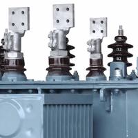 Transformateur de puissance immergé dans l'huile SZ11 35kV Série 11kV 22kV 33kV 200-31500kVA avec OLTC, personnalisable avec logo, directement de l'usine OEM