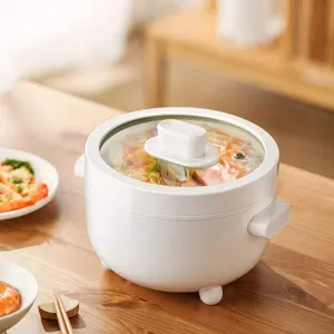 wholesale multifunction stainless steel cooking seamless pot soup electric mini cooker