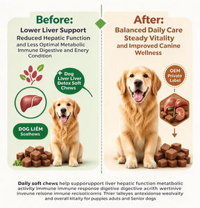 Integratori Masticabili per la Disintossicazione del Fegato per Cani, Supporto per la Salute del Fegato e dei Reni, Supplemento al Cardo Mariano OEM - Product Image 3