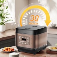 Cuisinière à riz multifonction électrique avec fonction de maintien au chaud, logo personnalisé