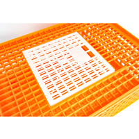 Cage de transport en plastique pour volailles et poulets Cage de transport pour poulets de chair Cage pour pigeon et canards