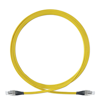 LC SC FC Intérieur Simple/Duplex Monomode/Multi Mode OM3 OM4 Cordon de raccordement à fibre optique 2.0mm 3.0mm Longueur personnalisée
