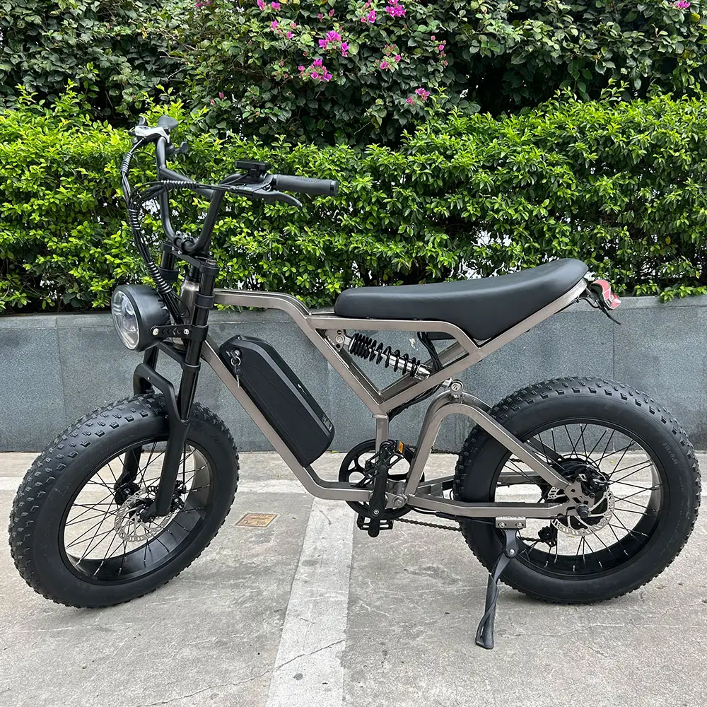 20 inch fat tire ebike 750w vintage motorcycles beach cruiser fatbike electrische affordable electric city bike bicycle