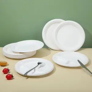 Yüksek kaliteli tabaklar setleri yemek çevre dostu paket gıda plakaları yuvarlak geri dönüşümlü bölünmüş tek kullanımlık tabaklar mutfak için