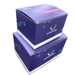 Kit ELISA pour le Facteur de <span class=keywords><strong>Nécrose</strong></span> <span class=keywords><strong>Tumorale</strong></span> Alpha (TNFa) du Bétail, Application en Laboratoire, Performance Stable pour la Recherche en Immunoanalyse - Product Image 3