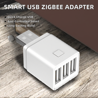 Adaptateur de prise USB intelligent Tuya Mini, application intelligente Zigbee, télécommande, charge rapide DC 5V-12V, tout neuf pour utilisation avec un téléphone portable