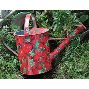 Gardening Decorative Galvanized Water Can Plant Customized Metal Watering Can garden