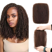 Qvr Cheveux Naturels Noirs Bruts 100% Humains pour Tressage Afro Crépu en Vrac 100g, Cheveux Humains 99j pour Tresses, Twists et Dreadlocks, Extensions Capillaires