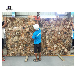 ألواح حجر خشبي متحجر بني اللون للبيع بالجملة - Product Image 5