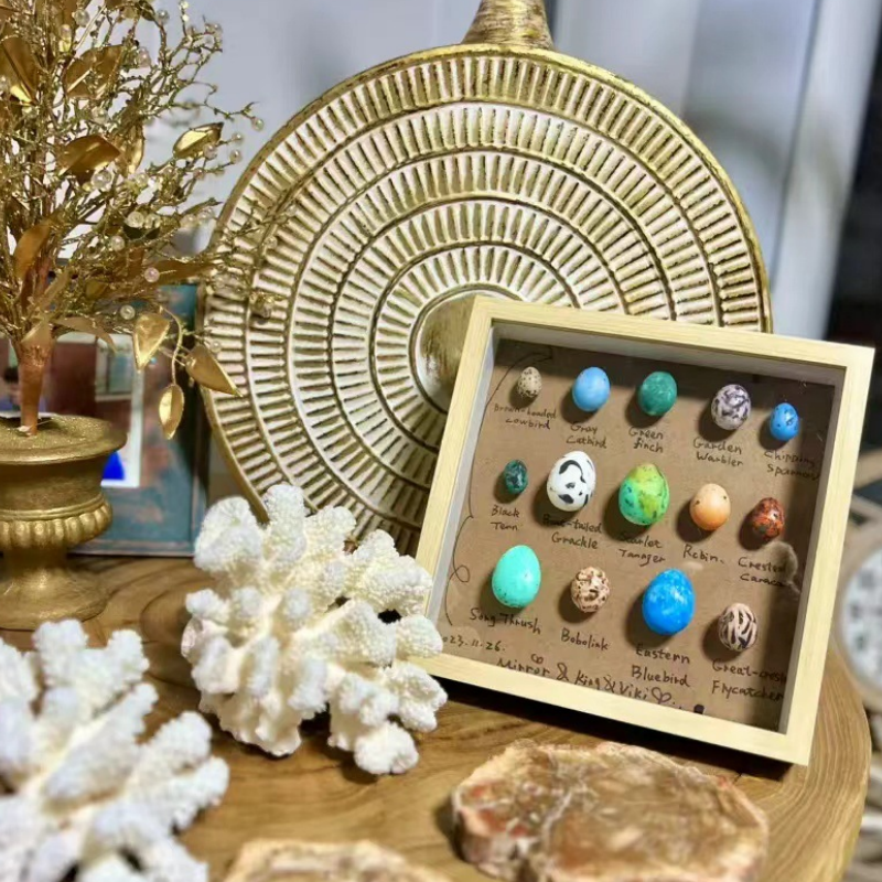 parrots and parrot eggs for sale