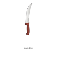 Couteau de barbecue américain Ambrogio Sanelli 26 cm, type scimitar