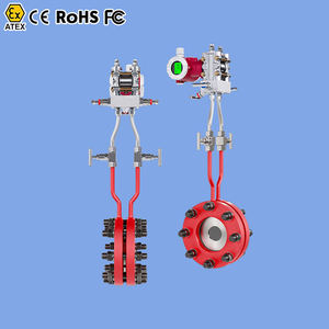 เครื่องวัดการไหลของไนโตรเจน เครื่องวัดการไหลของไฮโดรเจน เครื่องวัดการไหลแบบพัลส์เอาต์พุตไปยัง PLC เครื่องวัดการไหลแบบวิคโทลิค - Product Image 1