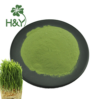 Herbe d'orge Poudre d'herbe d'orge verte Poudre de jus d'herbe d'orge