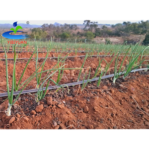 Système d'irrigation <span class=keywords><strong>goutte</strong></span> <span class=keywords><strong>à</strong></span> <span class=keywords><strong>goutte</strong></span> professionnel pour 1 hectare, <span class=keywords><strong>tuyau</strong></span> d'arrosage <span class=keywords><strong>16</strong></span> <span class=keywords><strong>mm</strong></span>, bande d'irrigation <span class=keywords><strong>goutte</strong></span> <span class=keywords><strong>à</strong></span> <span class=keywords><strong>goutte</strong></span> pour l'agriculture, tomates, oignons, 1000 m, 2000 m - Product Image 1