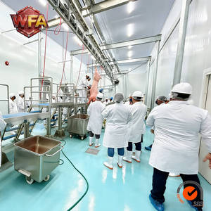 Equipo Completo para Mataderos de Cerdos, Maquinaria para Mataderos de Cerdos, Máquina de Carnicería de Cerdos USDA, Proyecto de Solución para Plantas de Procesamiento de Carne - Product Image 5