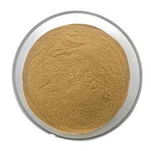 Fabriek Levert Leeuwenmanenextract Poeder Leeuwenmanenextract - Product Image 3
