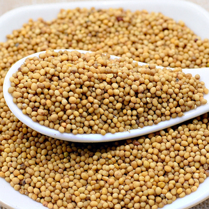 Vendita all'ingrosso di condimenti per la cucina semi di <span class=keywords><strong>senape</strong></span> gialla semi di <span class=keywords><strong>senape</strong></span> secchi - Product Image 4