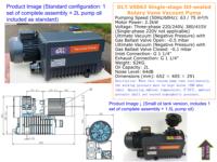 Pompe à vide rotative à palettes DLT V0063 75m³/h 3HP pour CNC, emballage alimentaire, lyophilisation, usinage, OEM, tension personnalisée 380V triphasée