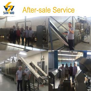 Equipo para Hacer Papas Fritas, Harina de Maíz, Almidón de Maíz, Chips de Maíz <span class=keywords><strong>2D</strong></span> 3D, Máquina para Hacer Chips de Maíz - Product Image 5