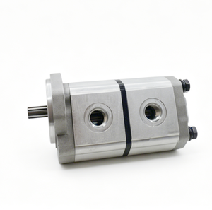 Qualité OEM 9M252IGA4545 Vivoil Pompes Multiples Détails Clés de ce Composant Incluent le Fabricant Vivoil Oleodinamica Catégorie I - Product Image 6