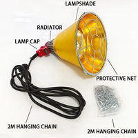 Lampe chauffante infrarouge halogène antidéflagrante 300W IP65 étanche 110V AC pour éleveuse, lumière chaude pour poulets et chiens