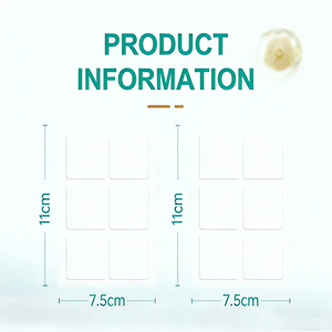 แผ่นแปะ GLP-1 แบบแปะผิวหนัง พร้อมโปรไบโอติกส์เพื่อสุขภาพลำไส้และปรับสมดุลความอยากอาหาร - Product Image 2