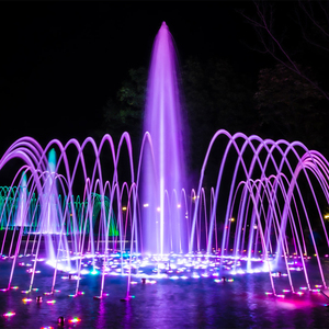 מחיר זול גן אגם בריכה בריכת מים תכונה בריכת מים תכונה מפלדת אל חלד רוקדת מים עם תאורה - Product Image 5