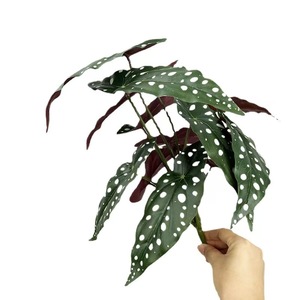 Verdure artificielle feuille suspendue bégonia plante tropicale <span class=keywords><strong>plantes</strong></span> traînantes verdure <span class=keywords><strong>pour</strong></span> la maison salle de bain <span class=keywords><strong>balcon</strong></span> mur automne décoration - Product Image 5