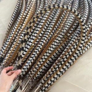 Venta al por Mayor de Fábrica de Plumas de Cola de Faisán Reeves Naturales Súper Largas para Disfraces de Carnaval, 25-120 cm - Product Image 2
