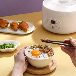 Điện nhựa sữa chua <span class=keywords><strong>Maker</strong></span> Máy với kiểm soát nhiệt độ nhỏ 1L Công suất - Product Image 4