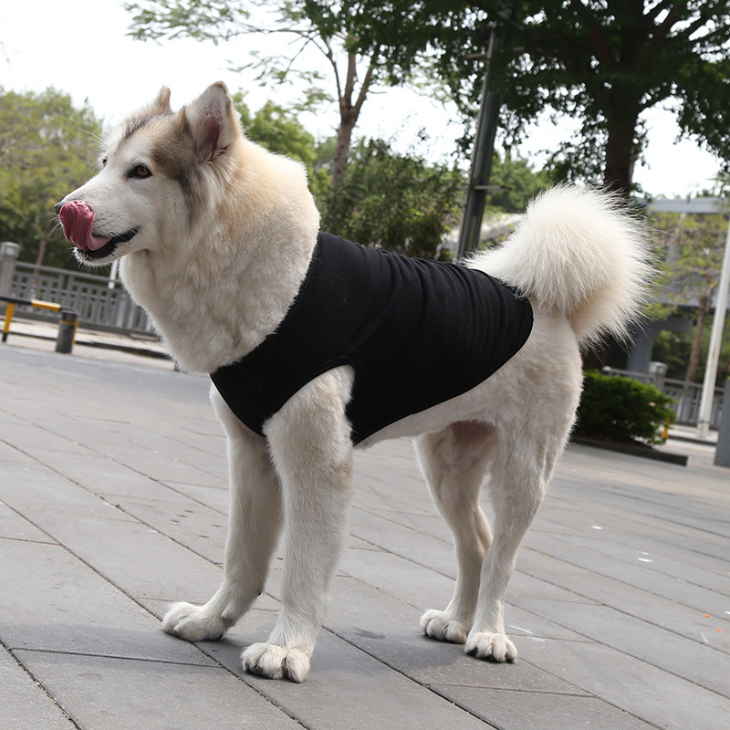 gilet en pur coton noir
