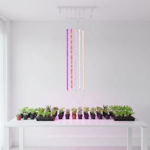 Tube LED de culture intégré à spectre complet <span class=keywords><strong>T5</strong></span> T8, 60 cm 120 cm, <span class=keywords><strong>pour</strong></span> jardin intérieur - Product Image 4
