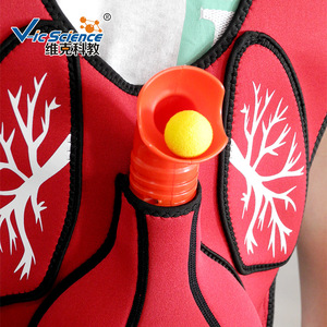 Gilet d'entraînement pour la réanimation en cas d'obstruction trachéale, modèle de gilet pour la manœuvre de Heimlich, équipement pédagogique - Product Image 4