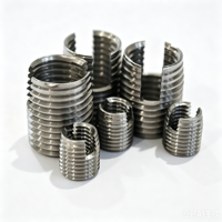TC4 Titanium Alloy Self Tapping Insert Boost Thread Strength for Lightweight Alloy Equipment