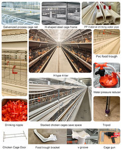 Système de cage à batterie automatique de type H pour l'élevage sans personnel de poulets pondeuses et de poussins reproducteurs - Product Image 2