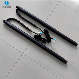 22 + cho thang máy đuôi điện cá heo BYD, nút ghế lái + nút phía sau + Phím điều khiển từ xa + cảm biến đá chân, công tắc điện - Product Image 5