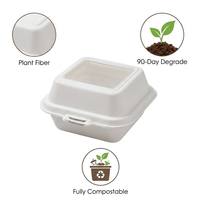 Boîte à gâteau en pulpe moulée compostable jetable avec fenêtre transparente carrée, biodégradable, pour tiramisu, mousse, crème, pâtisserie