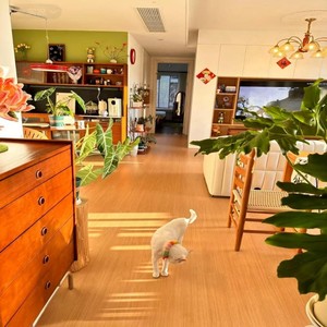 Plancher de panneau en plastique <span class=keywords><strong>stratifié</strong></span> de 4mm 5 mm 6 mm 8 mm de couleur en bois de clic de Offres Spéciales d'usine Spc Lvt plancher de panneau de vinyle dur de PVC - Product Image 6