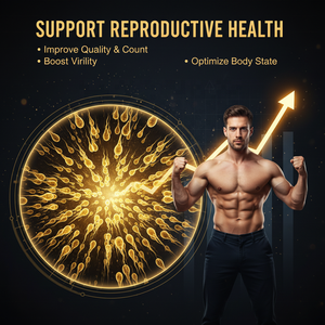 Té de Ginseng y Eucommia con Sabor Natural, 17g, Suplemento <span class=keywords><strong>para</strong></span> el Riñón, Potencia Sexual Masculina, Libido, Resistencia, Energía, Té Herbal - Product Image 5