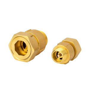 Válvula de retención de agua vertical, OEM 1/2 3/4 1 11/4 2 pulgadas NPT, tipo de lista de precios - Product Image 5