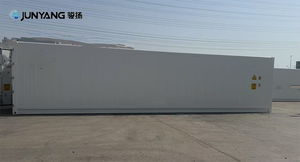 Prix bas Conteneur frigorifique en acier corten de 40 pieds à cube élevé, neuf et d'occasion, à vendre à Qingdao - Product Image 5