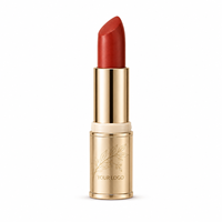 Soins de la peau en marque privée OEM, rouge à lèvres de luxe, formule personnalisée, usine de soins de la peau, approvisionnement direct, vente en gros