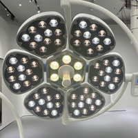 Lampe d'opération LED sans ombre pour bloc opératoire médical et vétérinaire, équipement de plafond