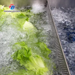 Máquina de lavar bolhas de ar para frutas e vegetais, máquina automática de lavar, processador de alimentos