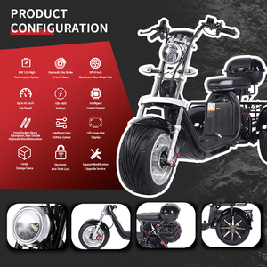 Hydraulic Disc Brake 3-<b>Wheel</b> Electric Cargo City <b>Bicycle</b> Comfortable Design for Elderly Use Open Body Type - Product Image 2