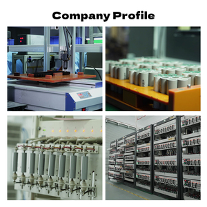 Tùy chỉnh LiFePO4 BMS LiFePO4 pin 12V 24V <span class=keywords><strong>48V</strong></span> 100AH 150AH 200AH 300ah 400ah pin <span class=keywords><strong>Lithium</strong></span> ion 12V - Product Image 5