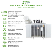 JZP küresel güvenilir hızlı teslimat özelleştirilmiş 50-3150kVA 50/60Hz üç fazlı ONAN yağ batırılmış dağıtım