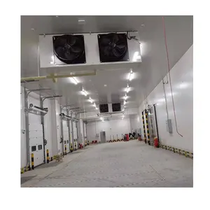 Eintritt in Kühlraum Gefrierschrank Kühlraum Kaltlager Warehouse für Logistik