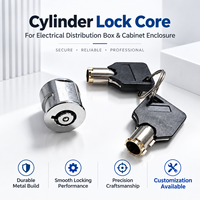 Serrure à came tubulaire, serrure à clé tubulaire, en alliage de zinc chromé, pour armoire électrique, boîte de distribution, appareillage de commutation, clé identique