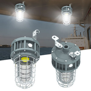 Lámpara LED a Prueba de Explosiones para Áreas Peligrosas Atex Zona 1 Zona 2 de 20W, STOCK en EE. UU. - Product Image 1